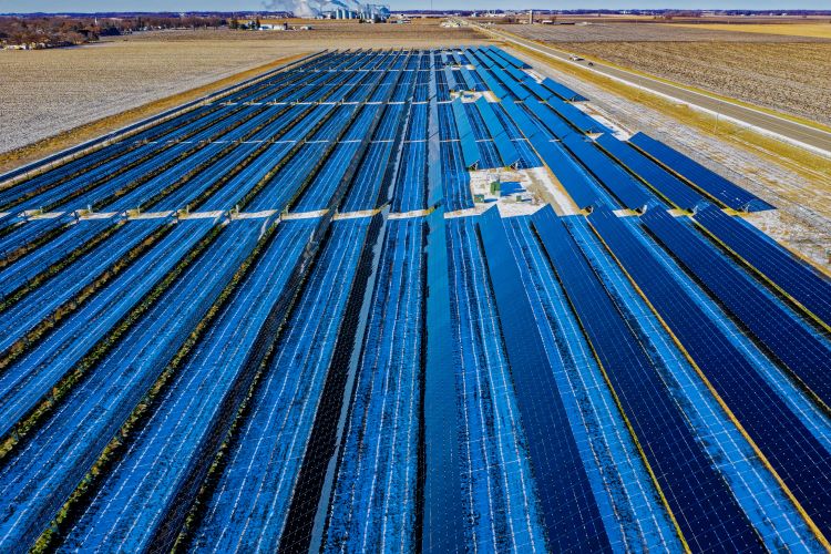 Photo of solar panel farm